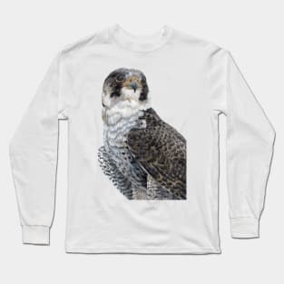 The Guardian - Peregrine Falcon with black background Long Sleeve T-Shirt